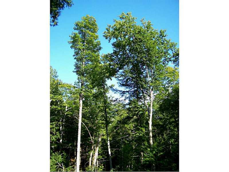 3 North Road Lee, ME 04455 - Photo 15 of 19 Land/Lot.