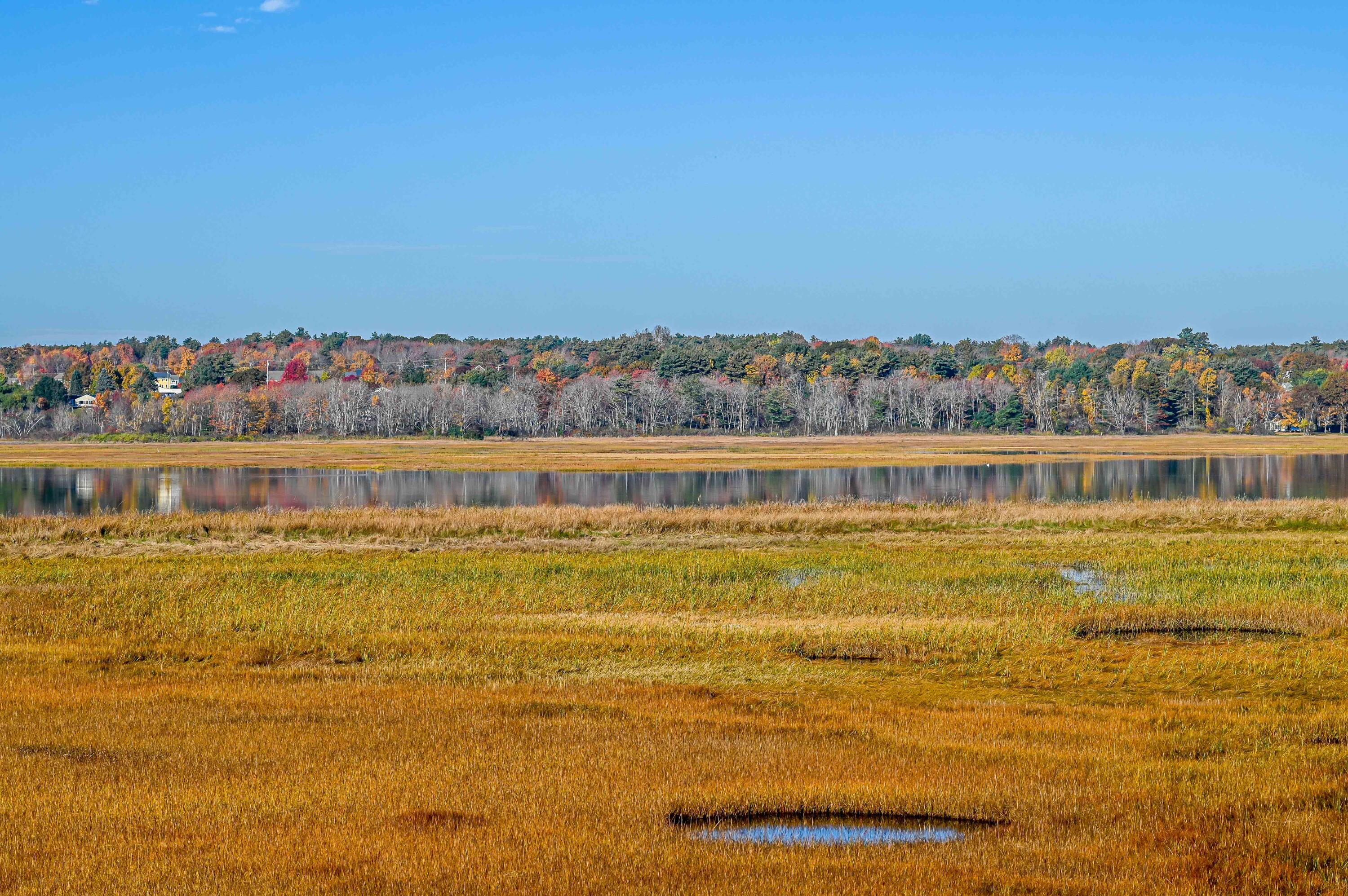 110 Atlantic Avenue Wells, ME 04090 - Photo 25 of 31 DSC_4085