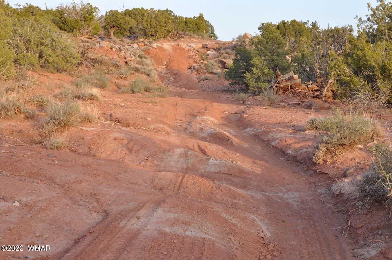 3167 Shadle Hill Road Snowflake, AZ 85937 - Photo 3 of 8 Gallery Image 3