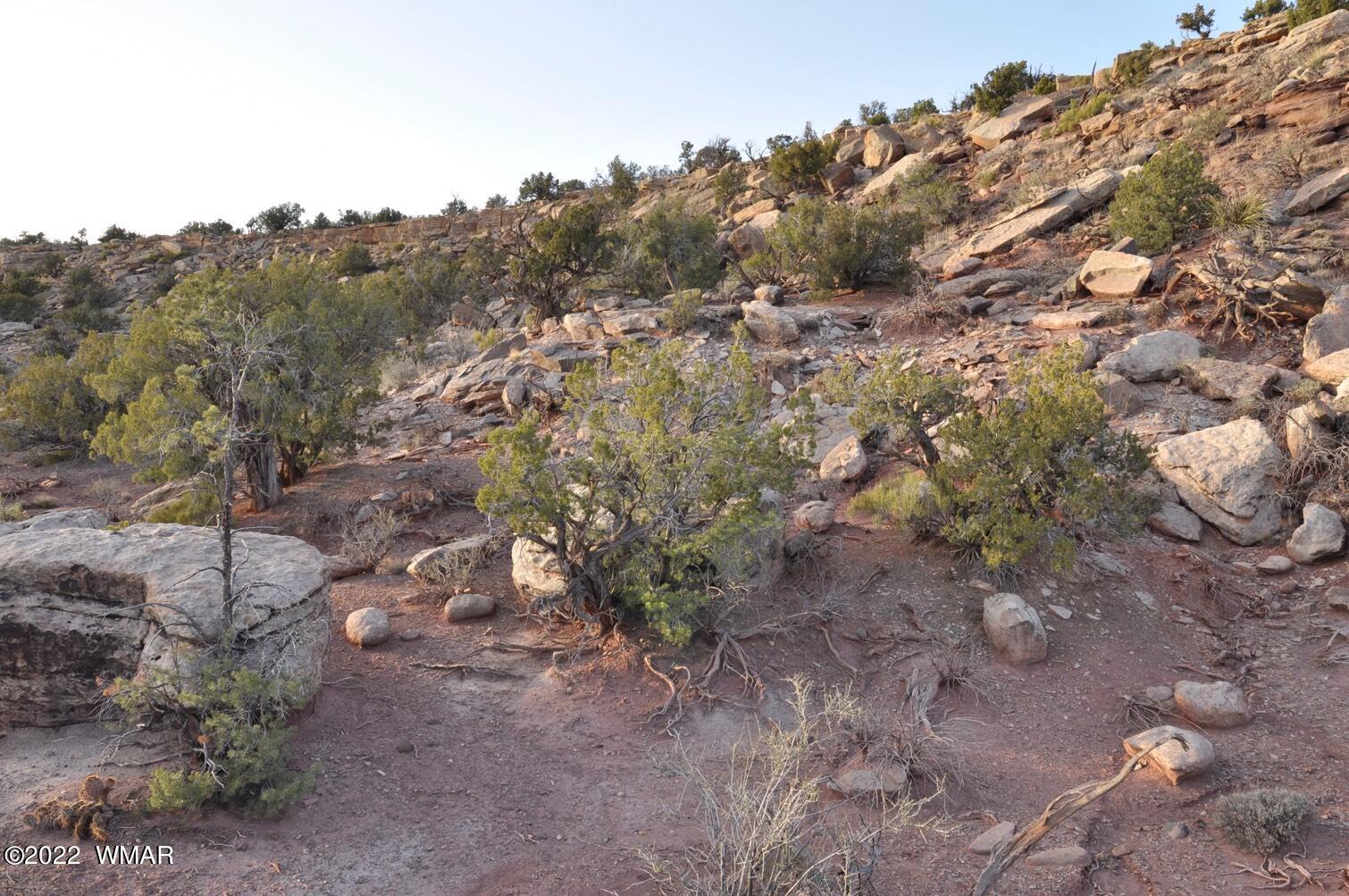 3167 Shadle Hill Road Snowflake, AZ 85937 - Photo 7 of 8 Gallery Image 7