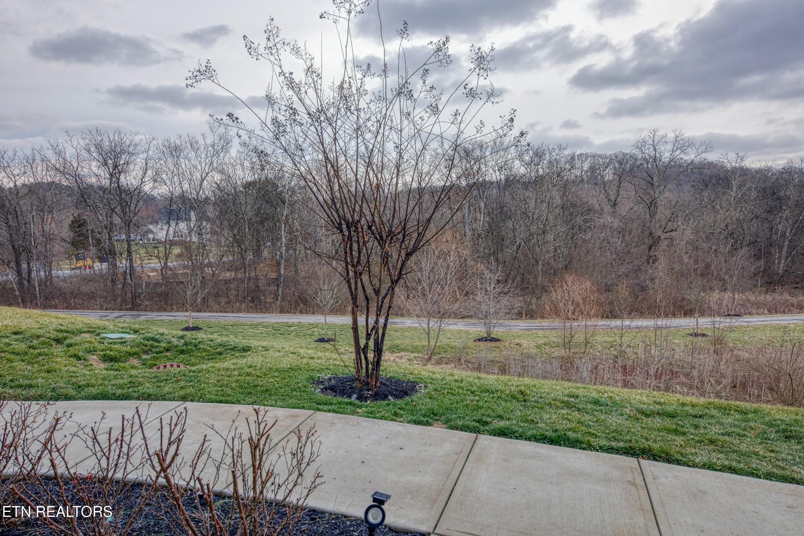 166 Goldheart Road Farragut, TN 37934 - Photo 5 of 44 166 Goldheart Rd Front 5