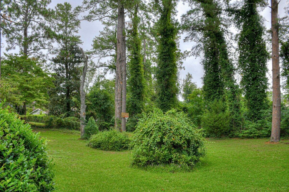 3004 Roxbury Court Augusta, GA 30906 - Photo 24 of 25 129 (12)