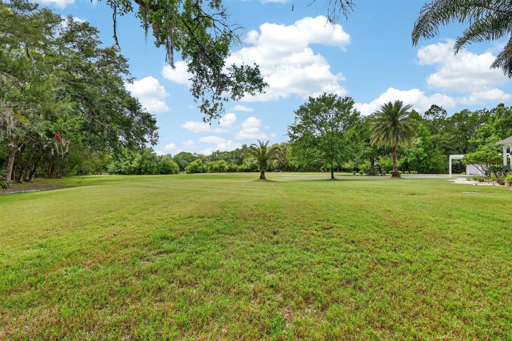 94 Smith Lane Bunnell, FL 32110 - Photo 6 of 80 a view of a garden with a tree