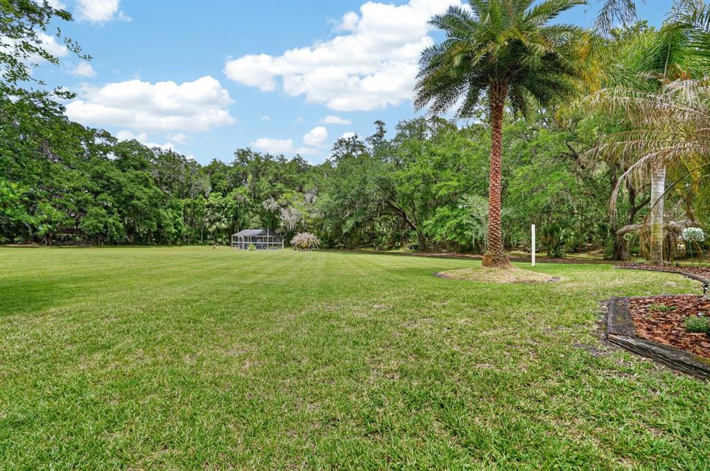 94 Smith Lane Bunnell, FL 32110 - Photo 68 of 80 a backyard of a house with lots of green space