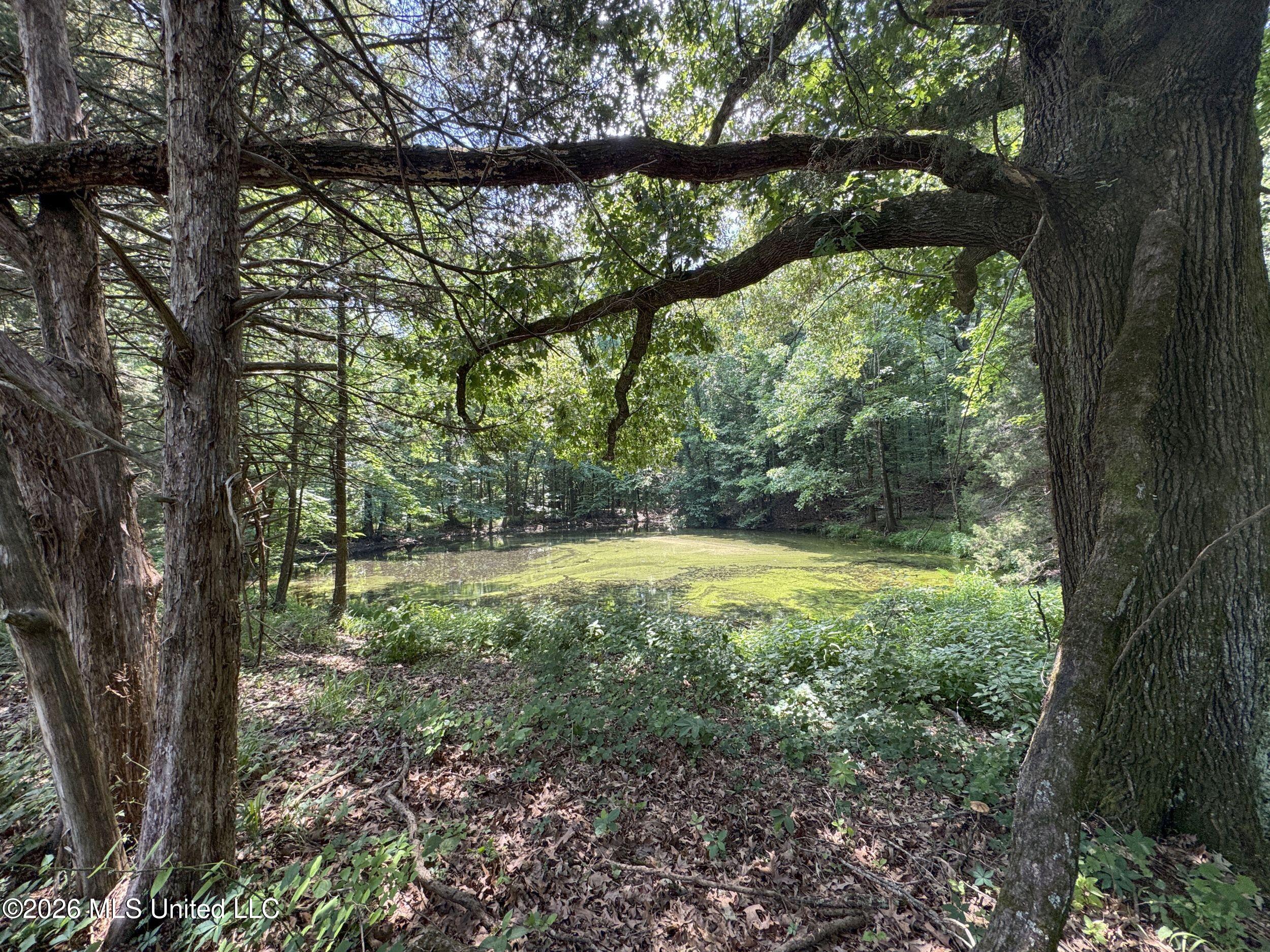 884 Avant Road Crenshaw, MS 38621 - Photo 141 of 154 6dbyicr94