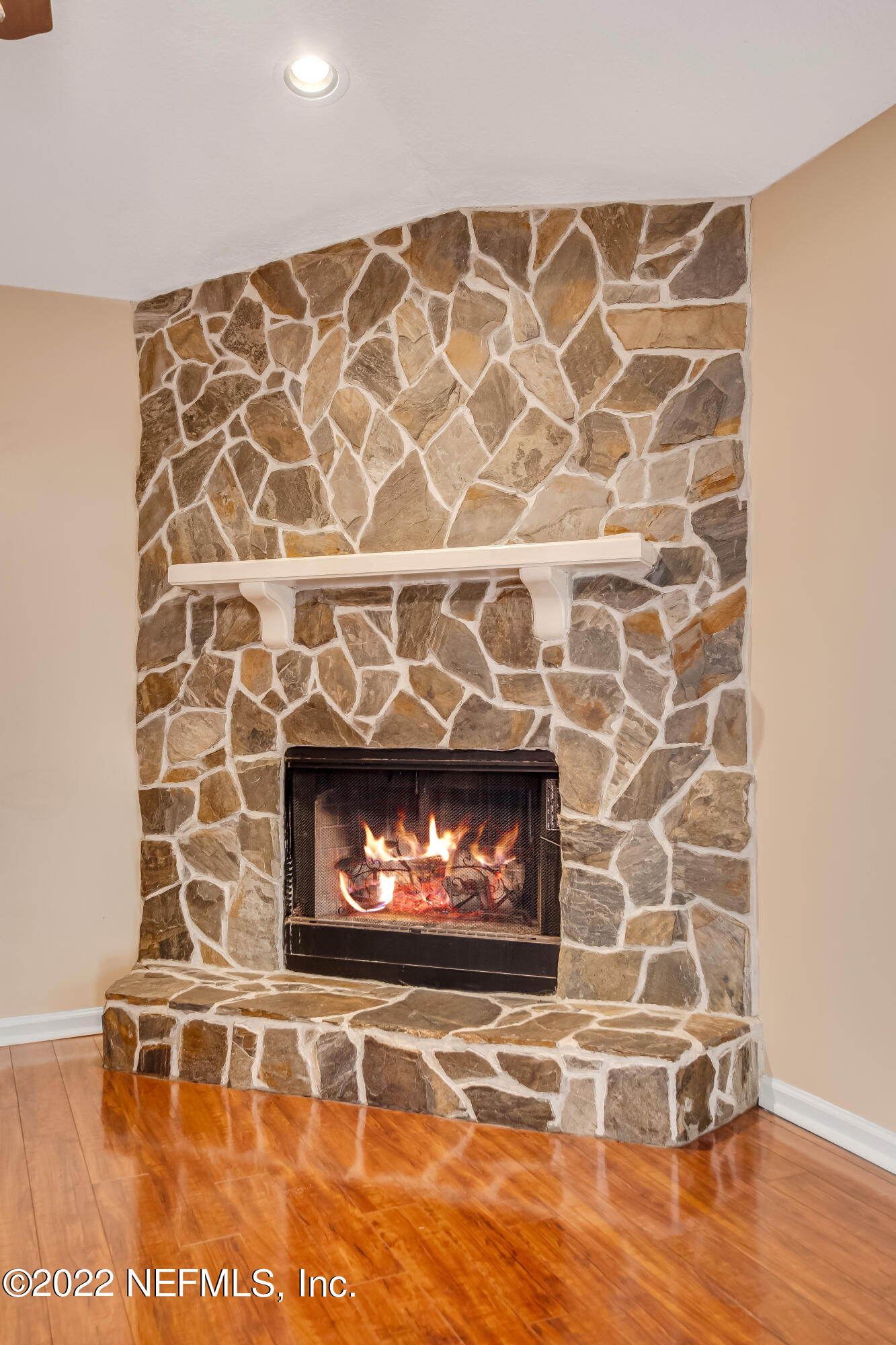 1038 Pebble Ridge Drive Jacksonville, FL 32220 - Photo 23 of 89 DSC_6885_HDR