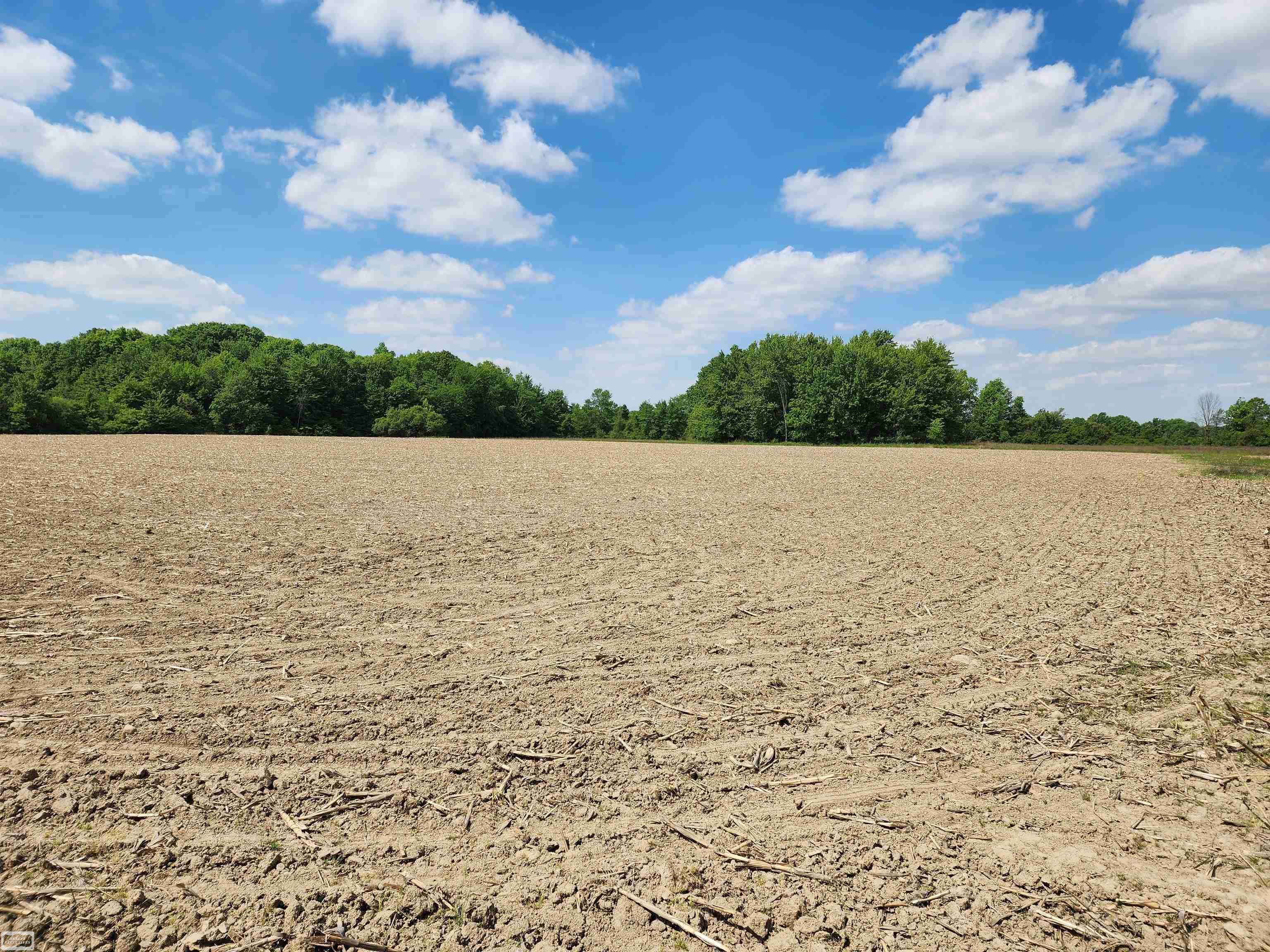 0 Brennan Road Avoca, MI 48006 - Photo 26 of 38