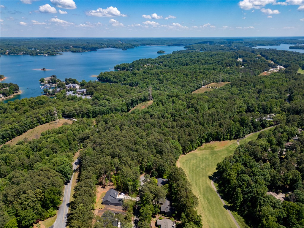 23 Tradewinds Way Salem, SC 29676 - Photo 13 of 31 This aerial perspective showcases a vast, tree-lined landscape bordering a serene lake and a golf course.