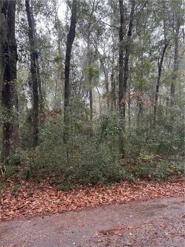 $24,000 | Lot 15 Harmony Hill Lane, Townsend, GA 31331