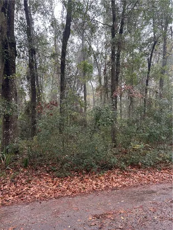 $24,000 | Lot 15 Harmony Hill Lane, Townsend, GA 31331
