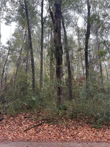 $24,000 | Lot 15 Harmony Hill Lane, Townsend, GA 31331