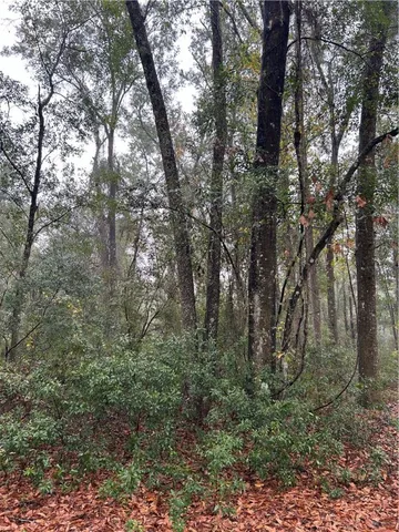 $24,000 | Lot 15 Harmony Hill Lane, Townsend, GA 31331