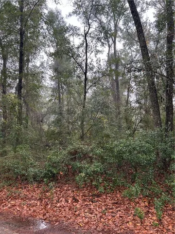 $24,000 | Lot 15 Harmony Hill Lane, Townsend, GA 31331