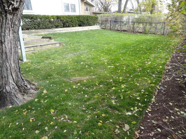 64 Green Bay Road Highland Park, IL 60035 - Photo 20 of 21