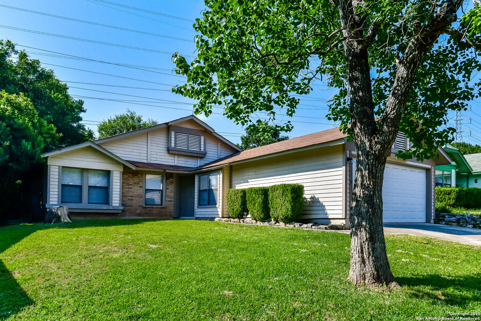 a view of a house with a yard and potted plants