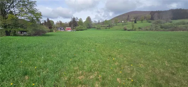 $249,000 | 1375 Dimmick Mountain Road, Denver, NY 12421