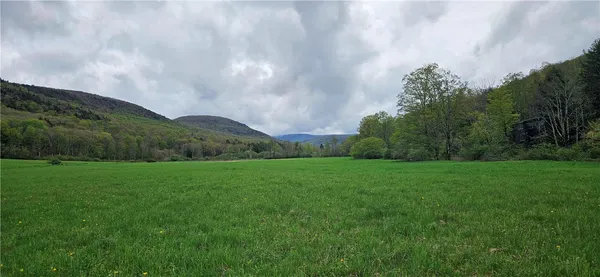 $249,000 | 1375 Dimmick Mountain Road, Denver, NY 12421