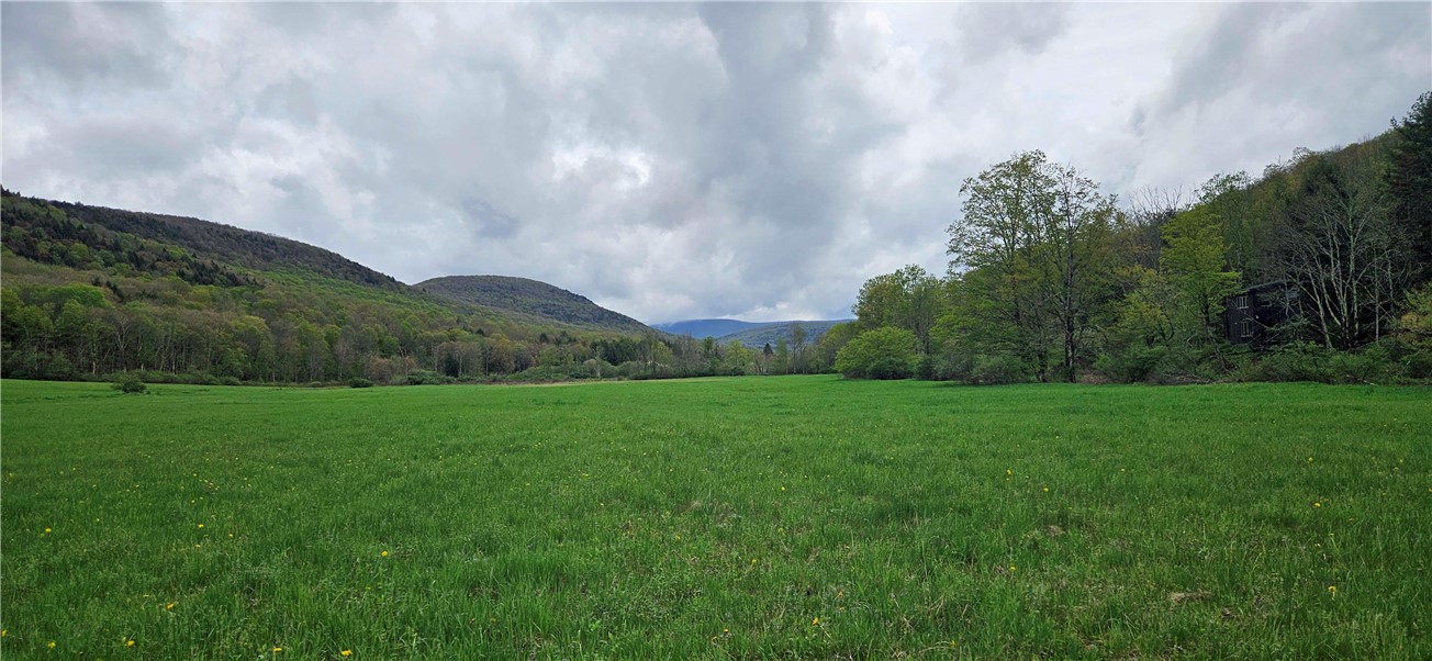 1375 Dimmick Mountain Road Denver, NY 12421 - Photo 8 of 14