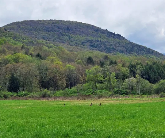 $249,000 | 1375 Dimmick Mountain Road, Denver, NY 12421