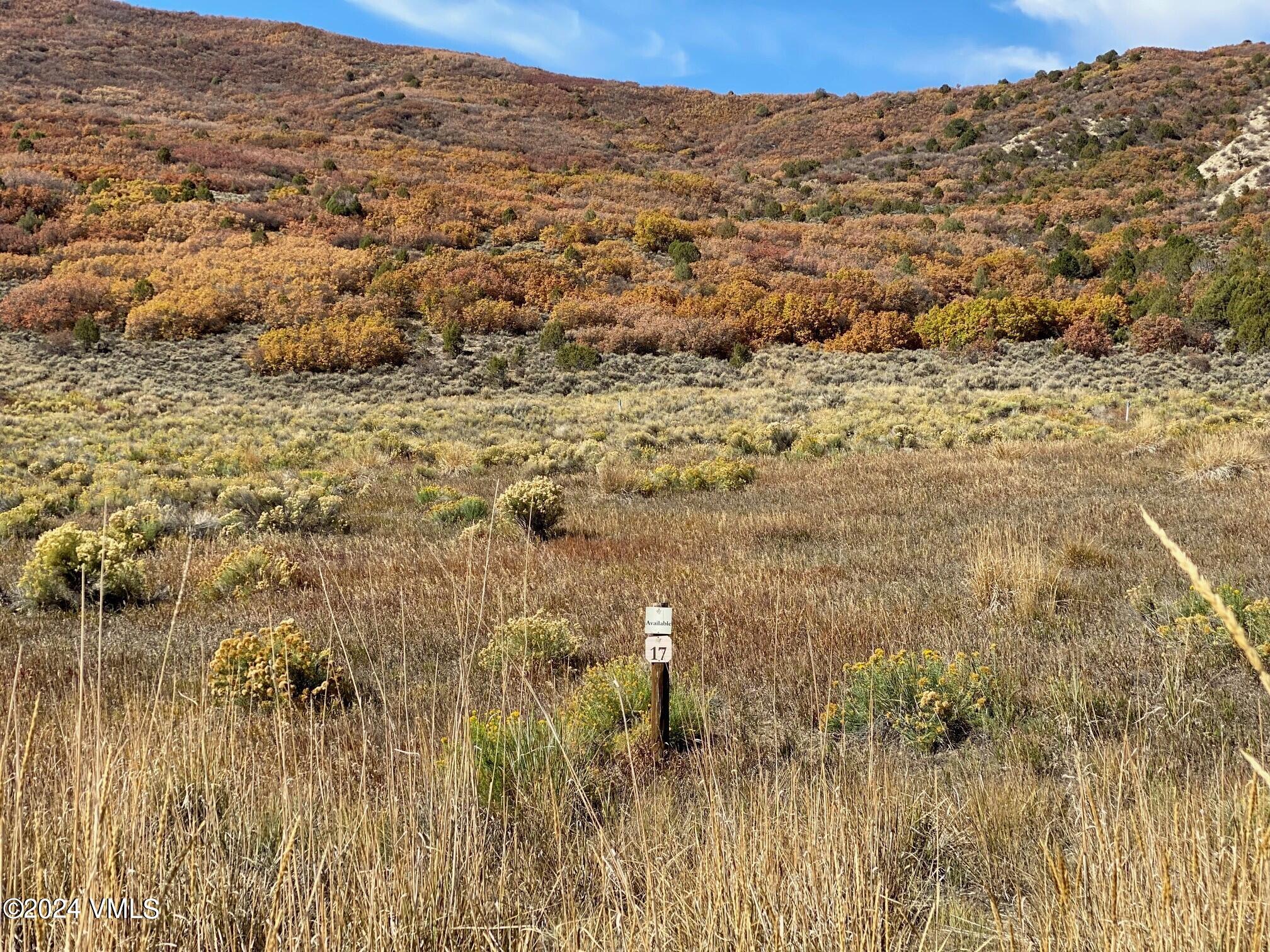 89 Borah Eagle, CO 81631 - Photo 11 of 11 Lot 17 - Photo 1