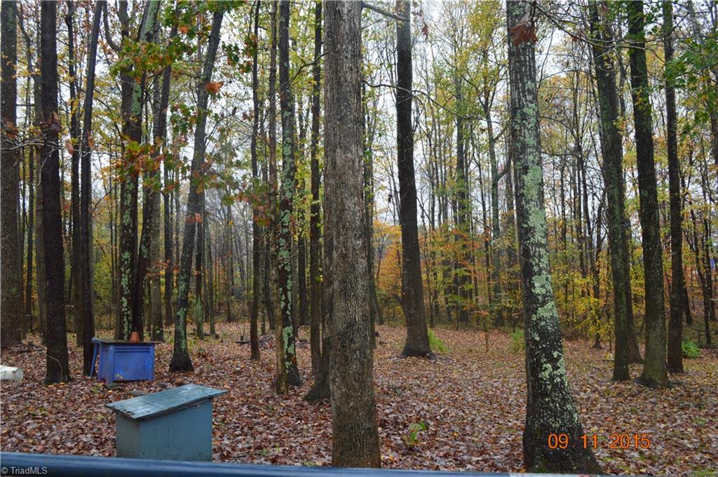 475 Westview Road Gibsonville, NC 27249 - Photo 19 of 19 Gallery Image 19