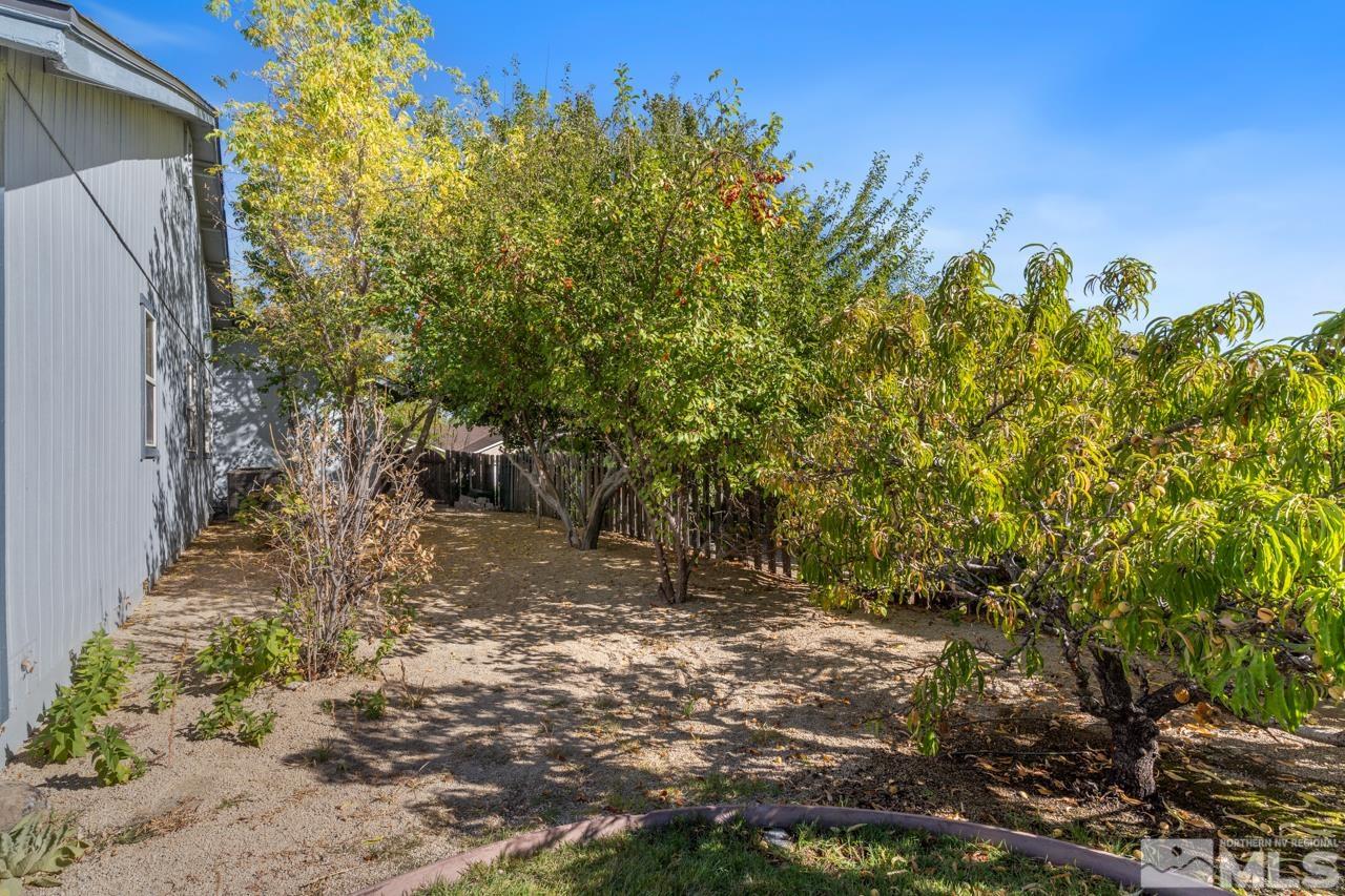 17040 Castle Pine Drive Reno, NV 89511 - Photo 28 of 31 a view of a yard with plants and a bench
