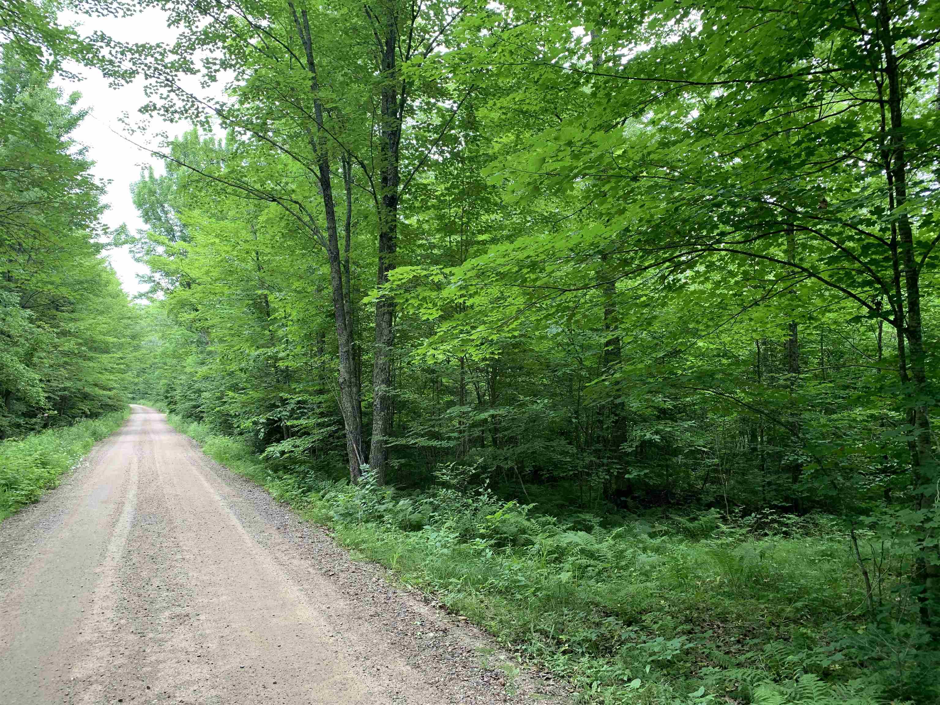 0 Smt Wds Lane Gleason, WI 54435 - Photo 17 of 17