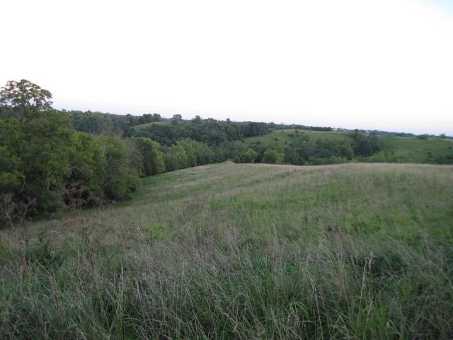 0 Baker Williams Road Corinth, KY 41010 - Photo 3 of 20 Gallery Image 3