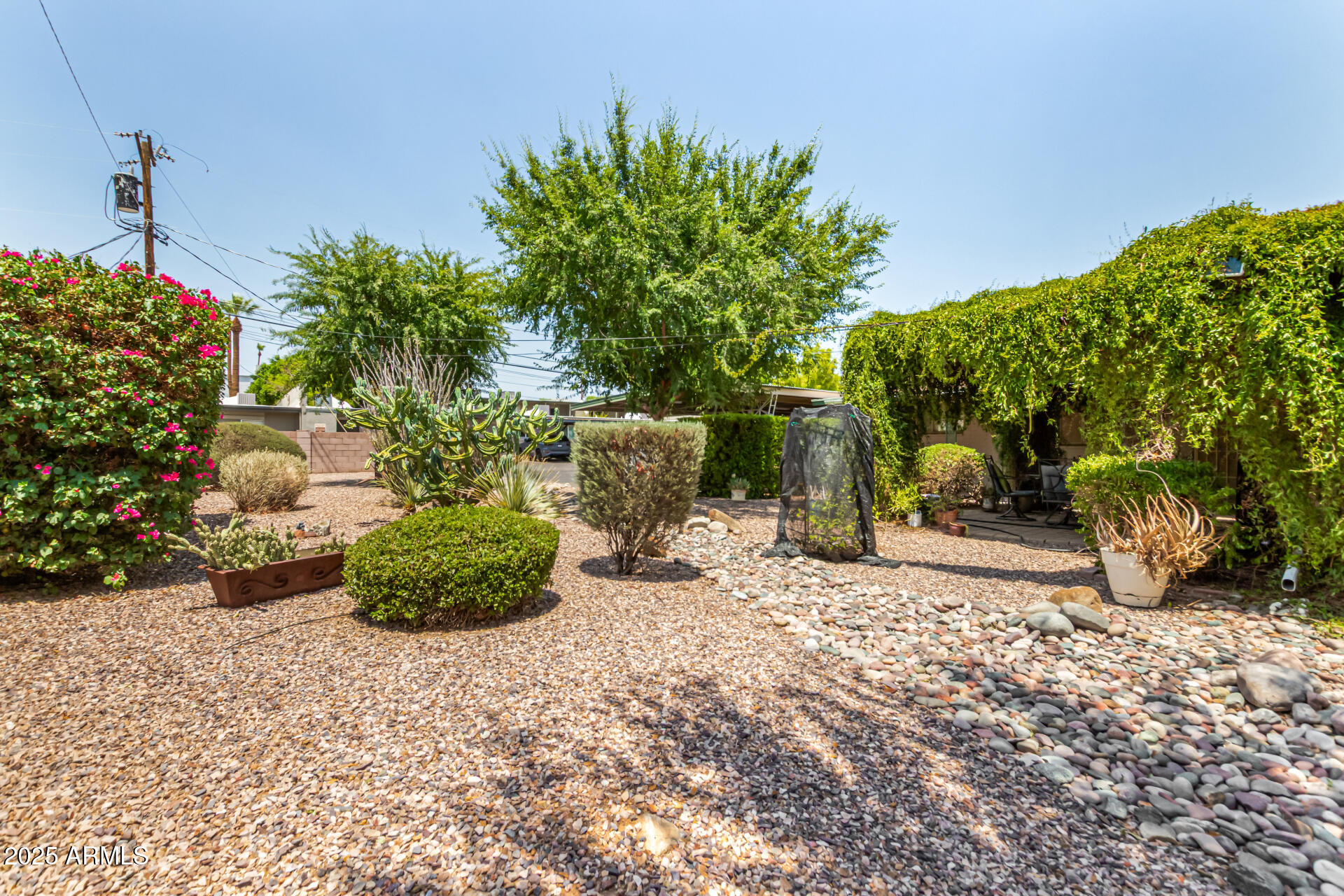 3540 East Montecito Avenue, Unit 1 Phoenix, AZ 85018 - Photo 25 of 26 a view of a backyard with potted plants