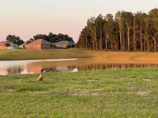 12842 Grand Rpds Road Fairhope, AL 36532 - Photo 23 of 29 Yard