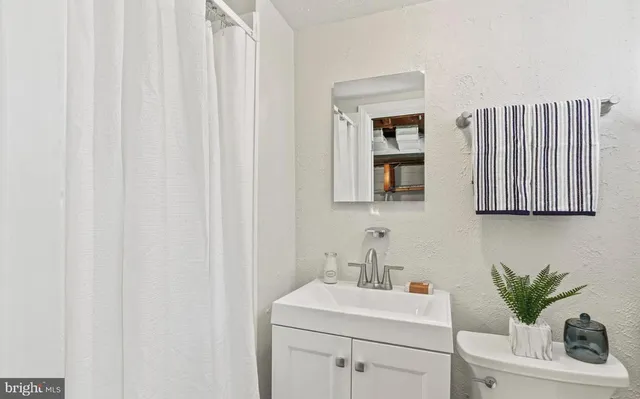 a bathroom with a sink a mirror and a potted plant
