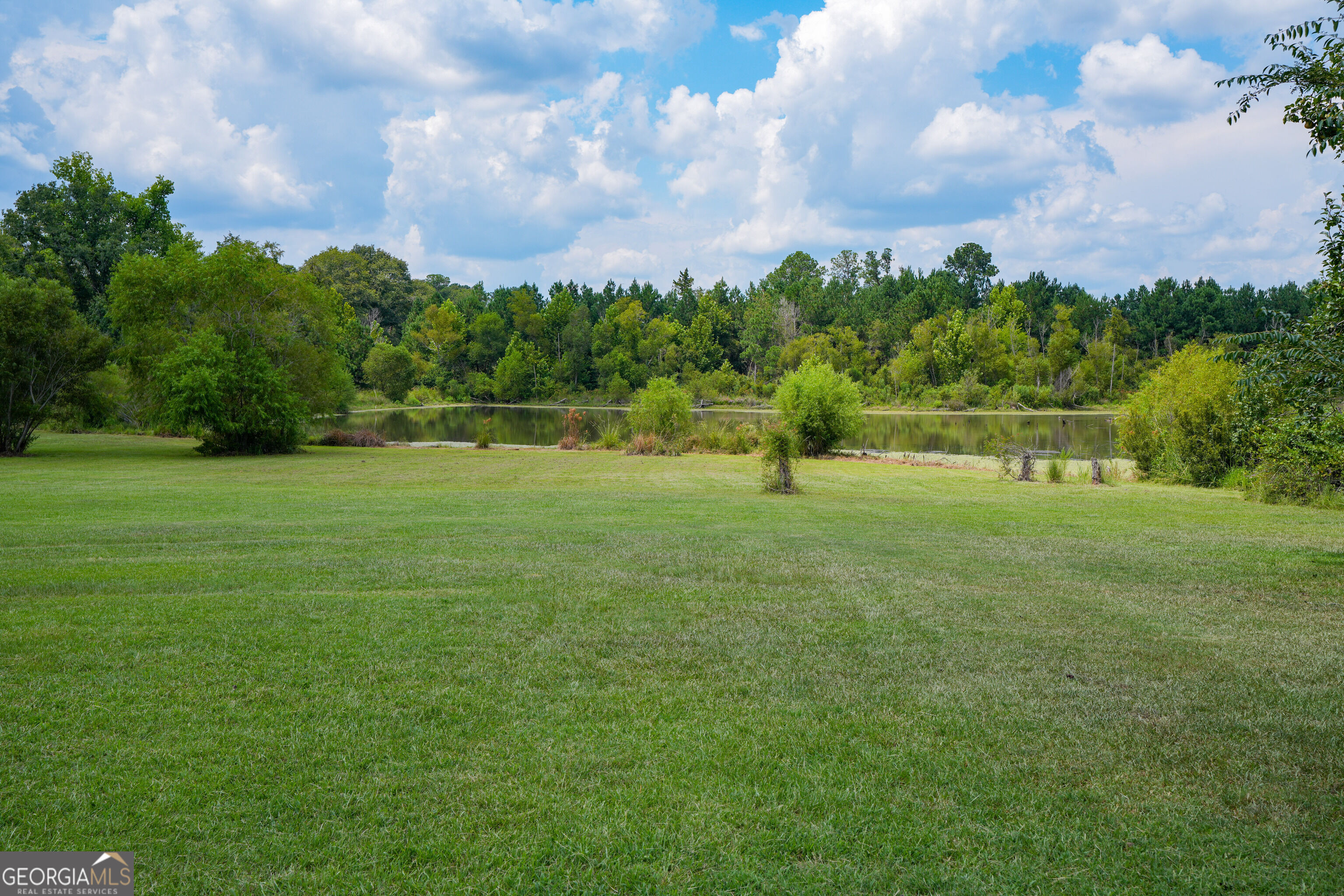 1833 Tom Odum Road Vidalia, GA 30474 - Photo 98 of 118 Gallery Image 98
