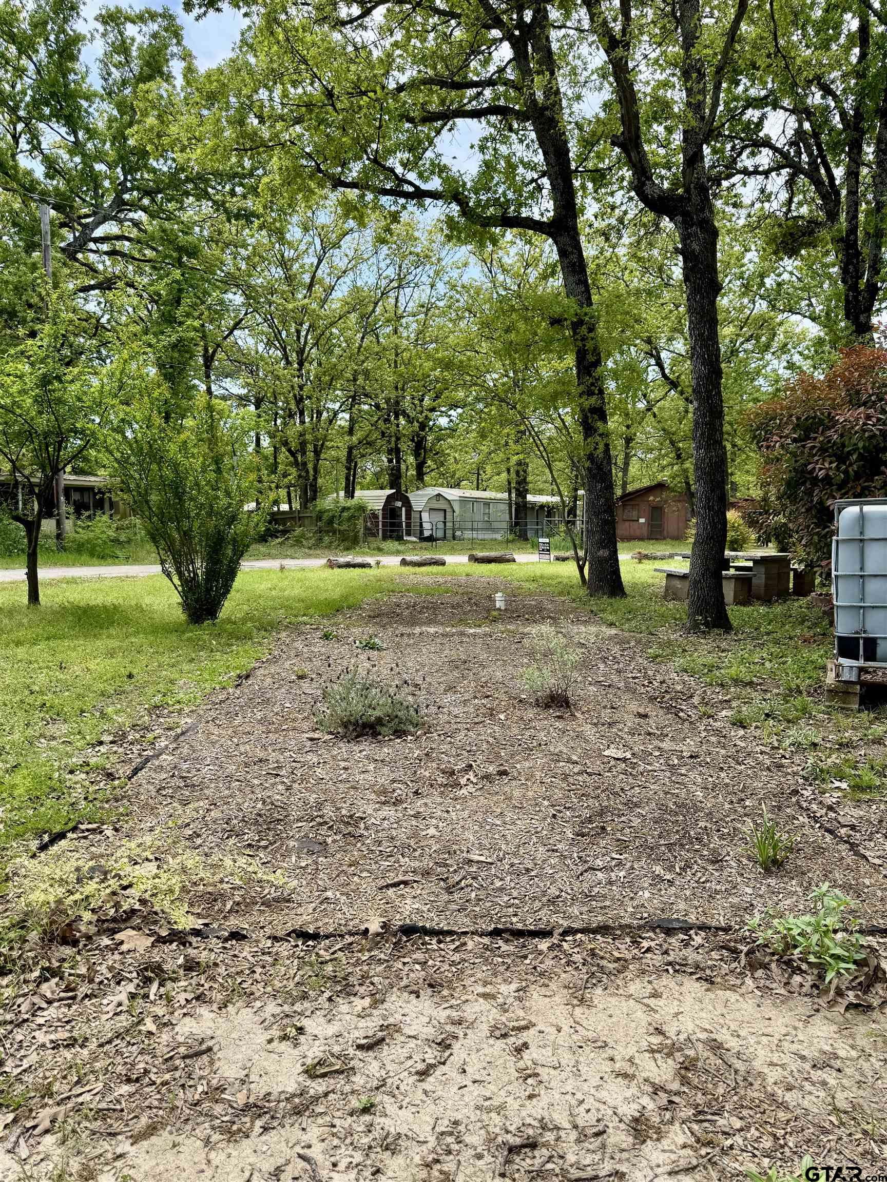 107 Private Road 7713 Emory, TX 75440 - Photo 17 of 22 a view of a yard with tree s