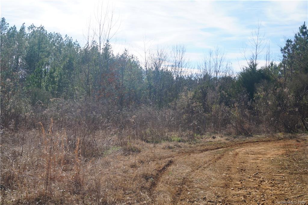 308 Smith Valley Road Sharon, SC 29742 - Photo 1 of 8