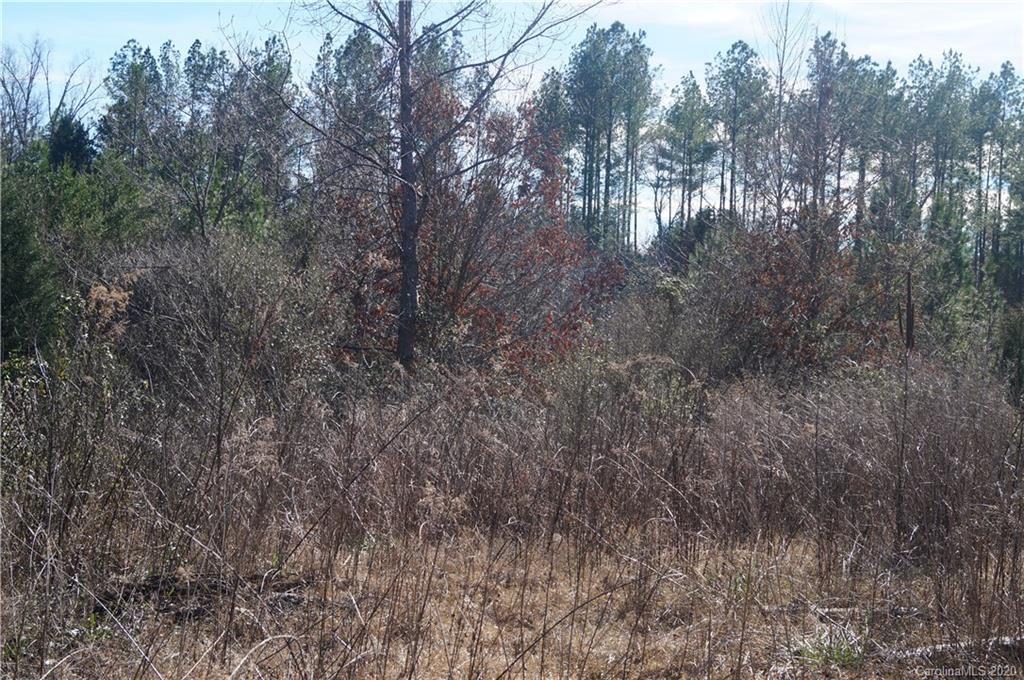 308 Smith Valley Road Sharon, SC 29742 - Photo 4 of 8