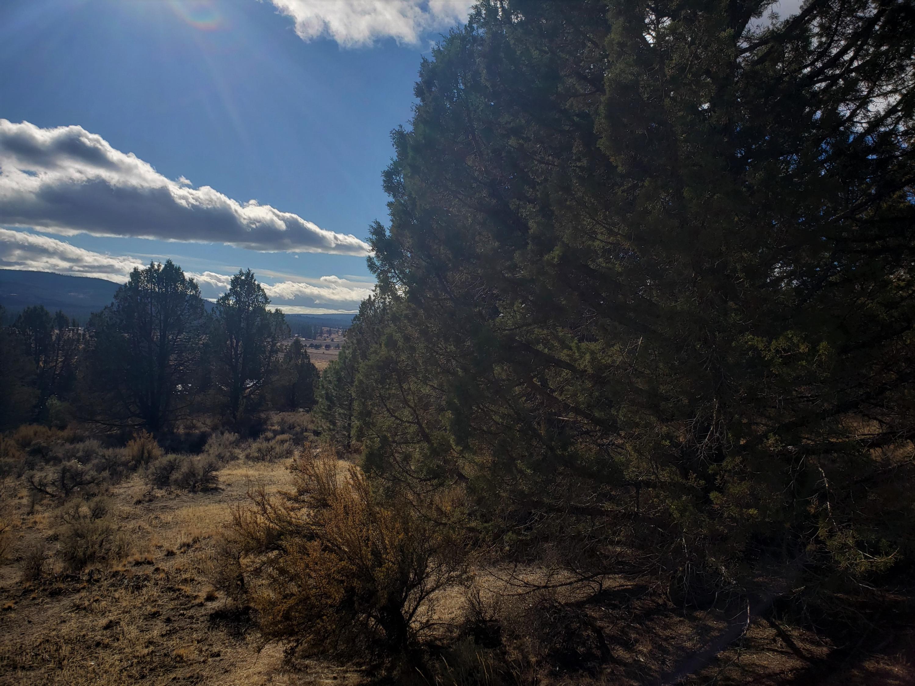 37 Drews Ranch Road Chiloquin, OR 97624 - Photo 15 of 16 20201110_133219
