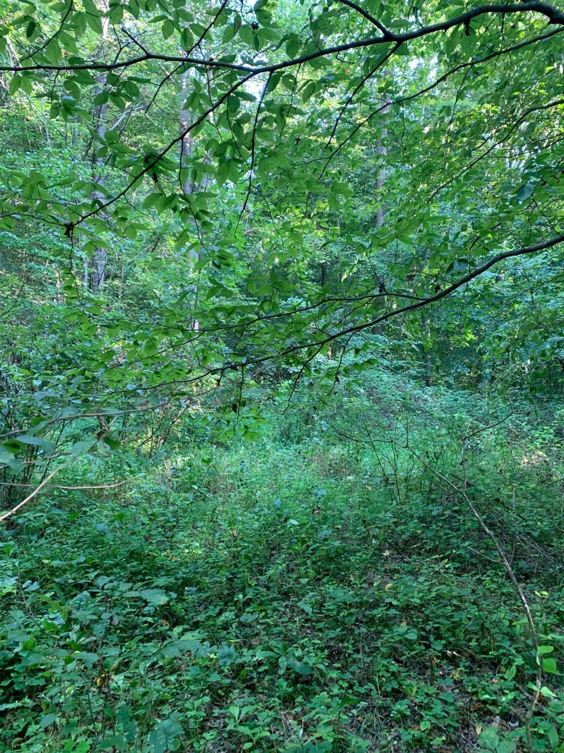 0 Upper Cane Creek Road Stanton, KY 40380 - Photo 29 of 34 Photo 31