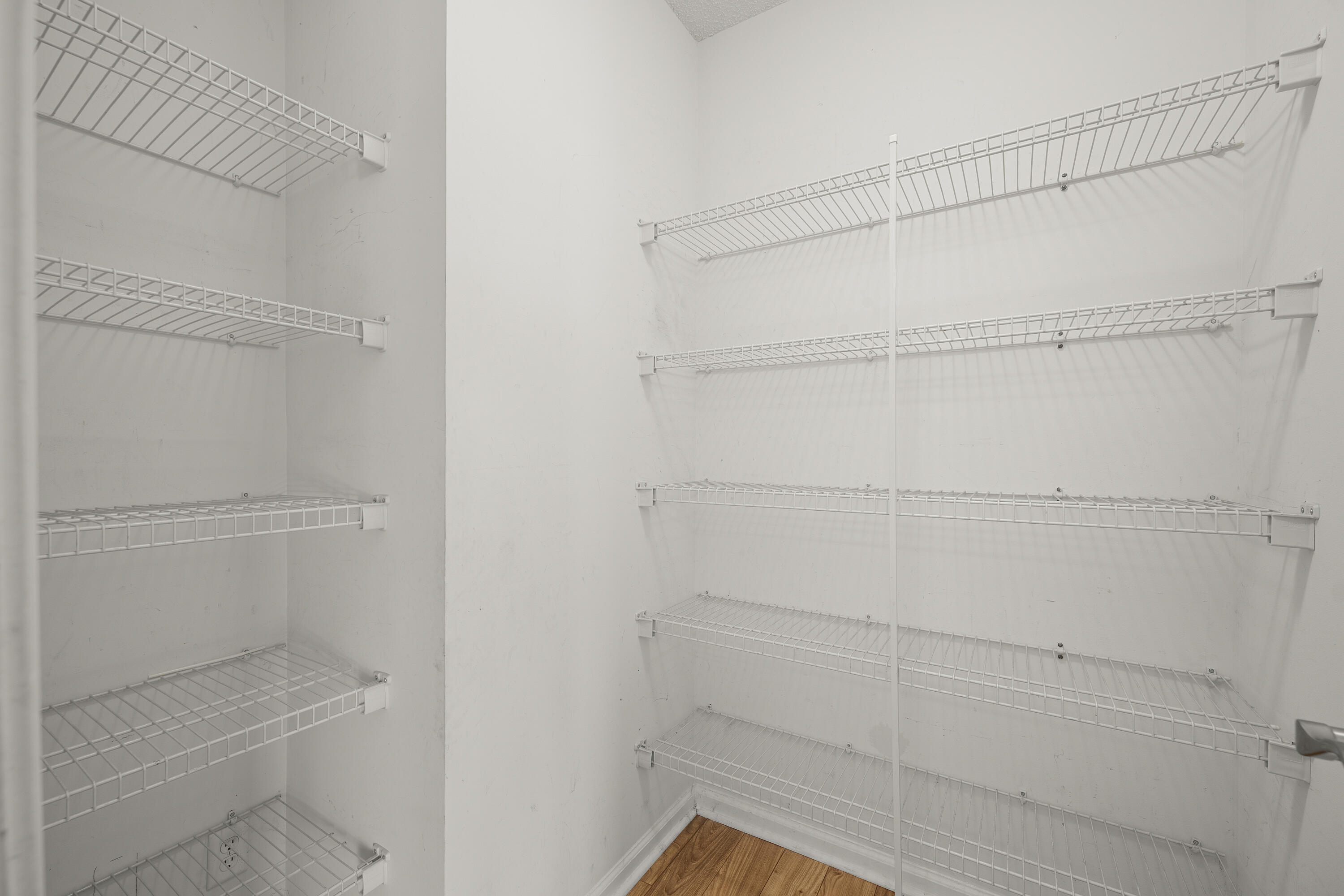 105 Ripley Court Summerville, SC 29483 - Photo 12 of 31 walk in pantry