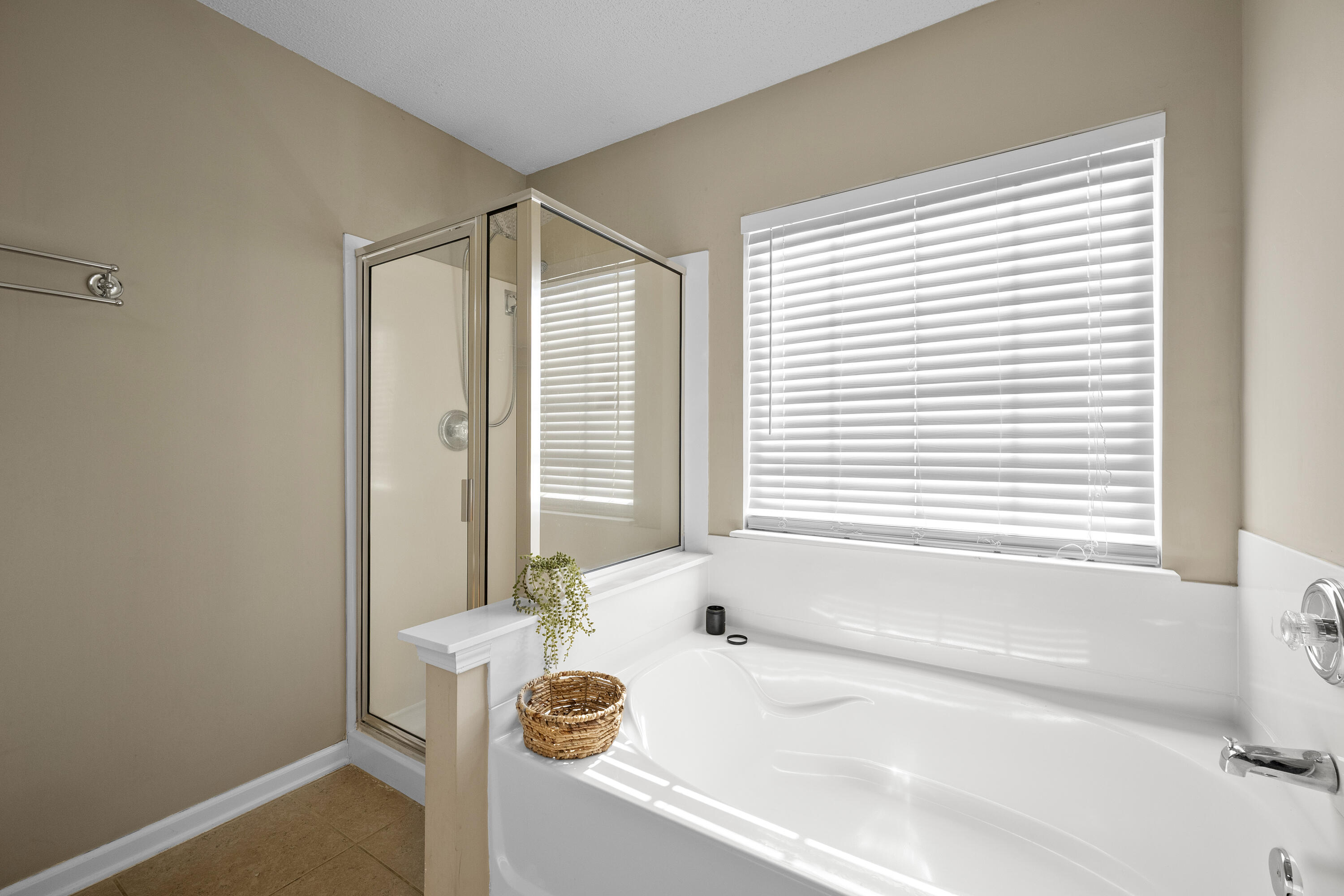 105 Ripley Court Summerville, SC 29483 - Photo 19 of 31 garden tub and shower