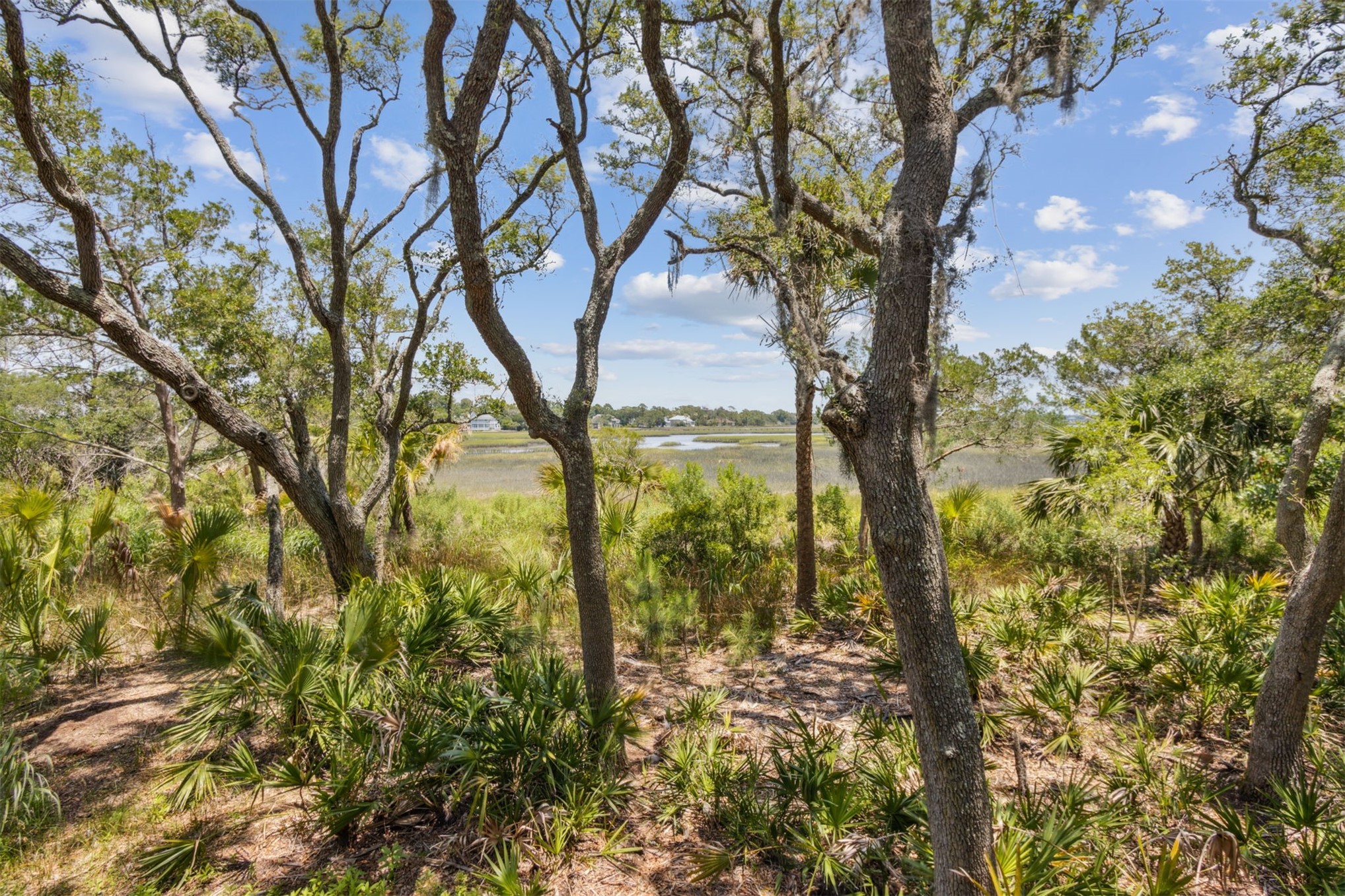 96234 Brady Point Road Fernandina Beach, FL 32034 - Photo 20 of 20 Gallery Image 20