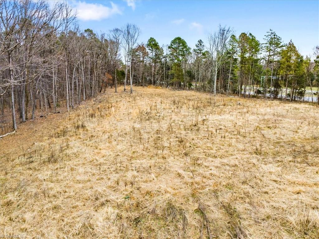 0 Younts View Drive Trinity, NC 27370 - Photo 4 of 16
