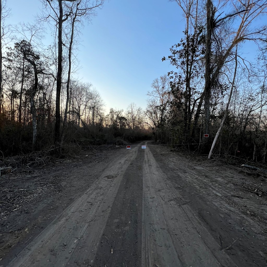 520 George Road Dothan, AL 36301 - Photo 4 of 12