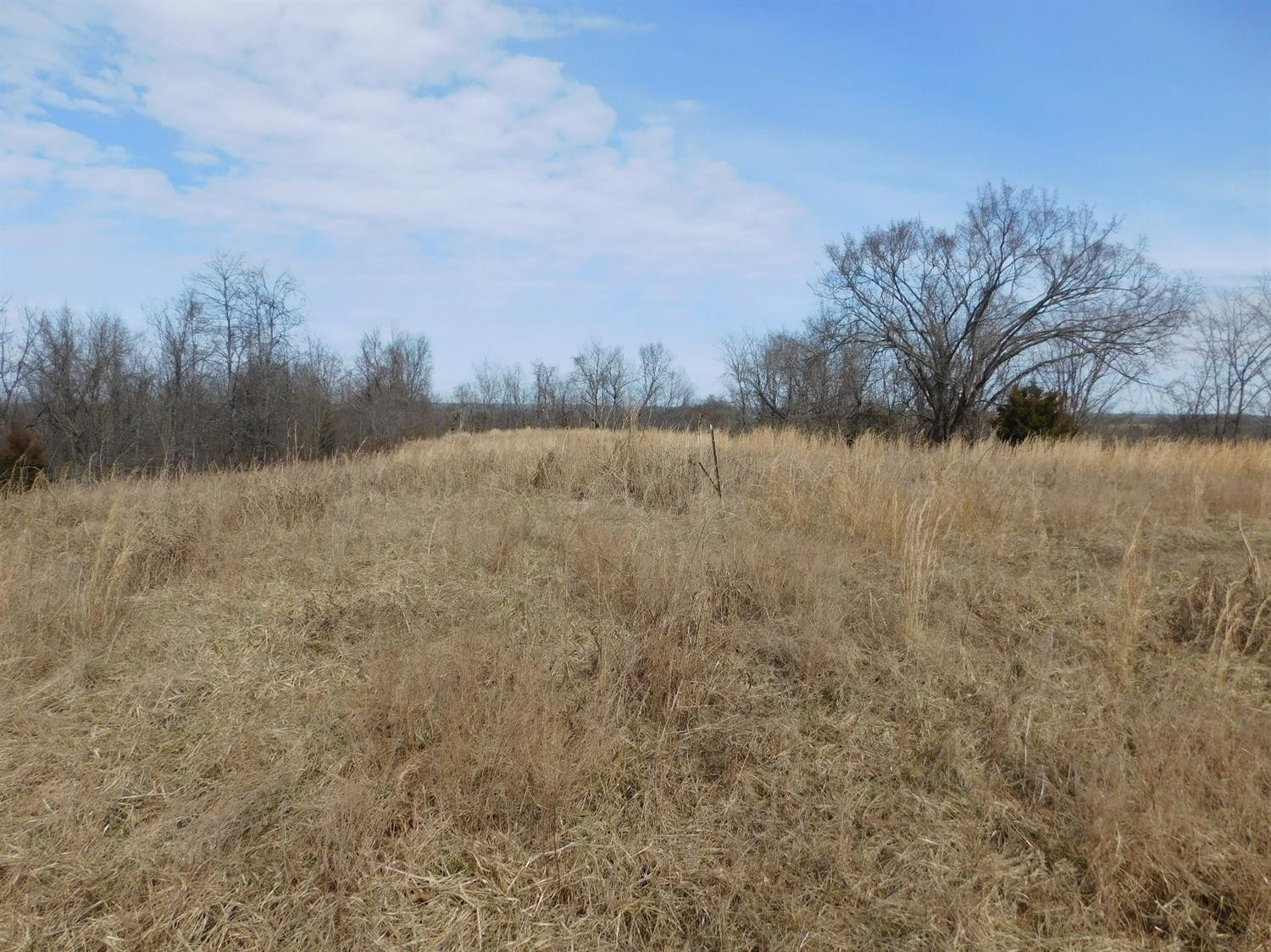 4 Junction Pike Berry, KY 41003 - Photo 1 of 10 Listing Photo