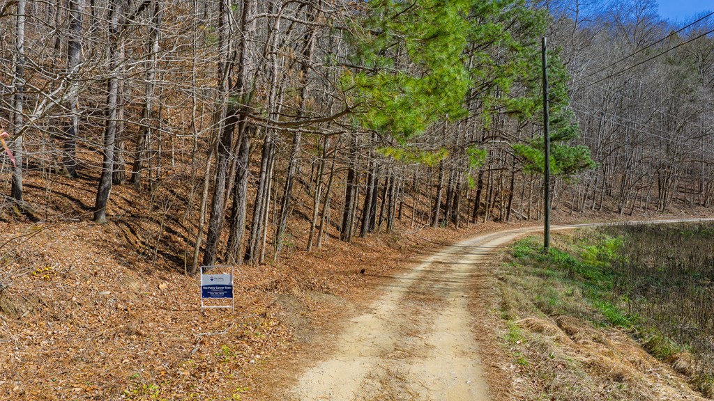 0 Rambling Road Talking Rock, GA 30175 - Photo 2 of 15 Gallery Image 2