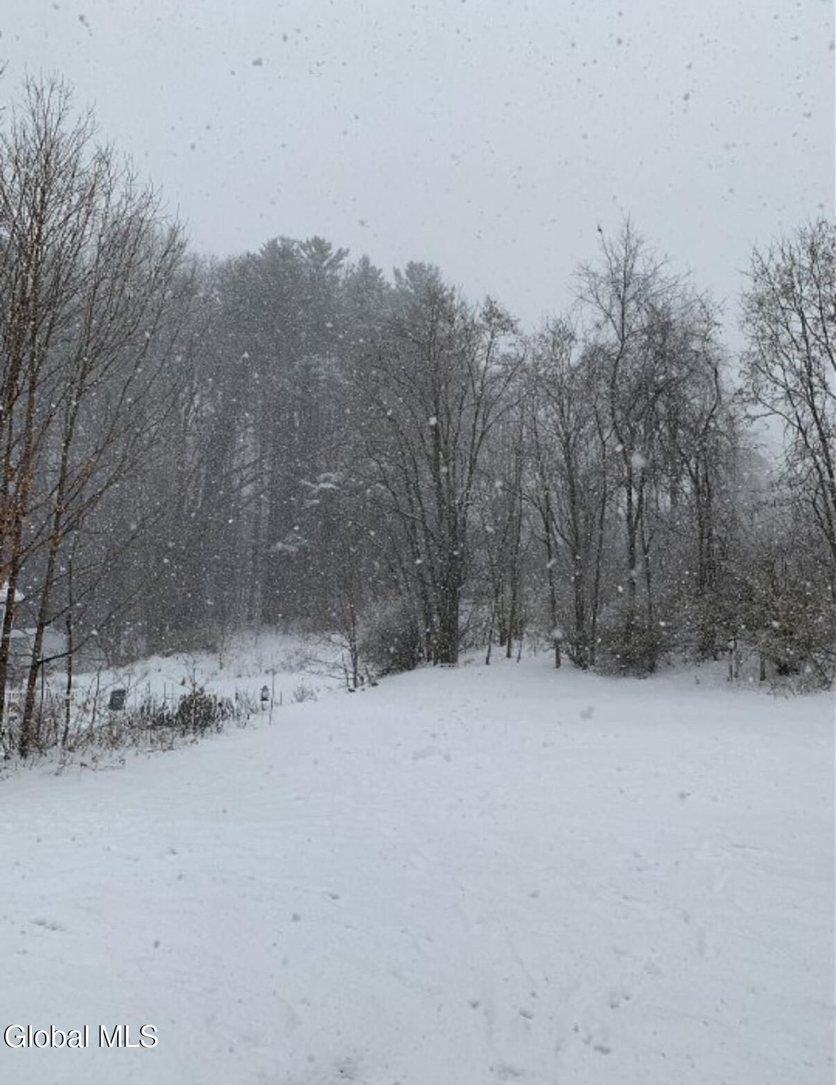 141 Reed Street Northville, NY 12134 - Photo 27 of 29 IMG_3327