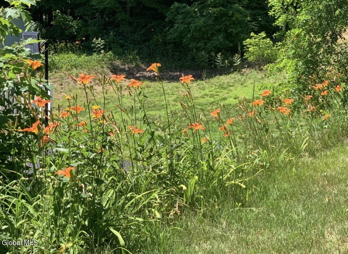 141 Reed Street Northville, NY 12134 - Photo 28 of 29 IMG_3323