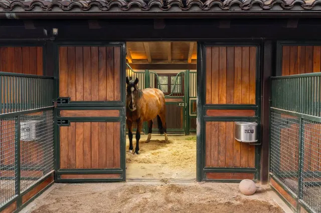 a view of a porch with a hanging chair