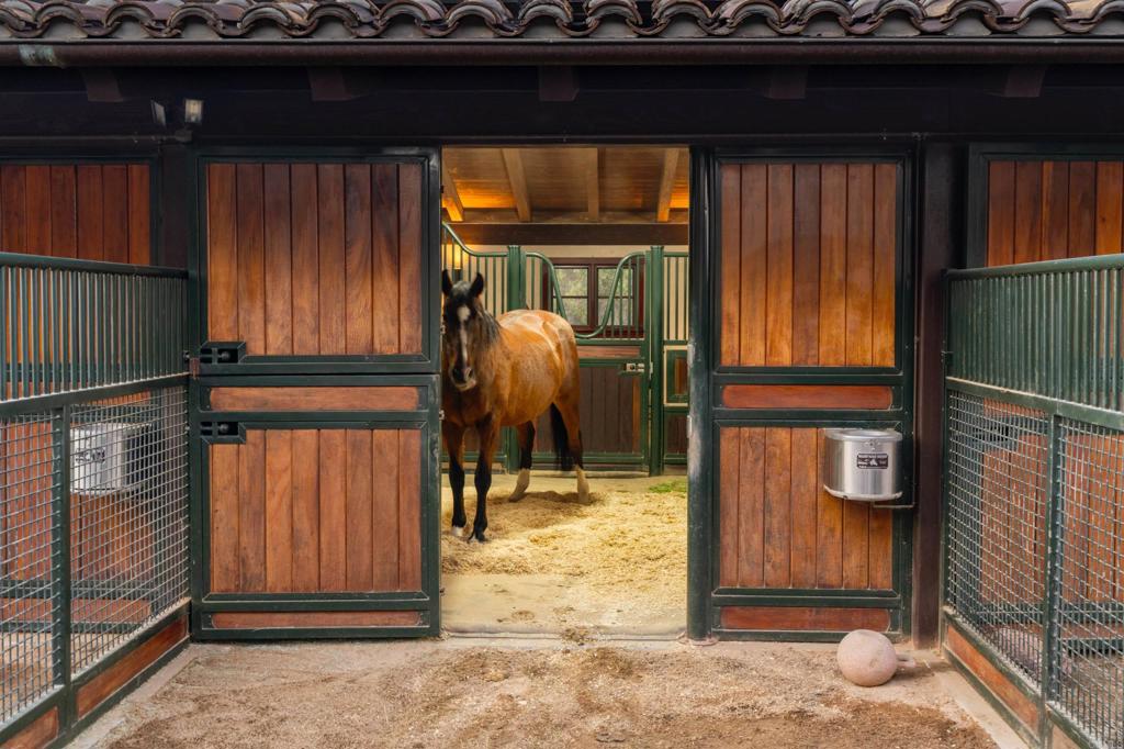 Undisclosed Address Encinitas, CA 92024 - Photo 4 of 30 a view of a porch with a hanging chair