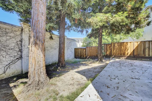 a view of a backyard