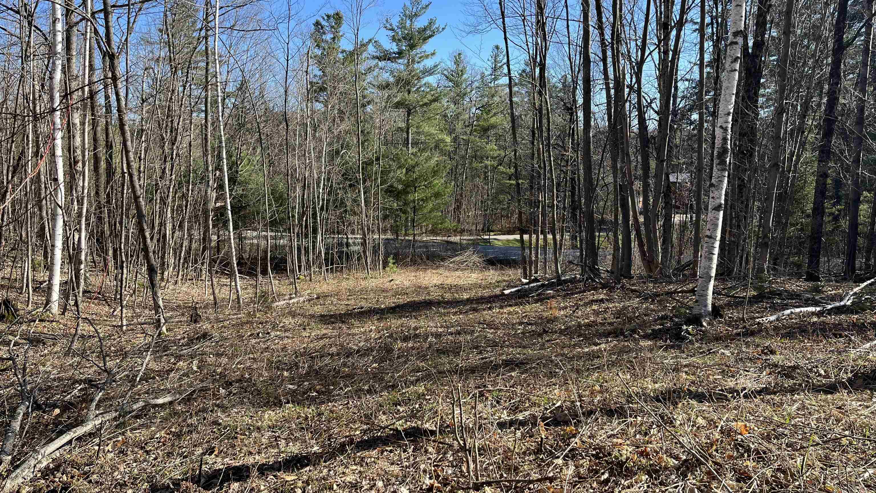Dix Hill Road, Unit 23 Ludlow, VT 05149 - Photo 4 of 28